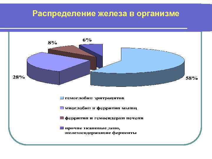 Распределение железа в организме 