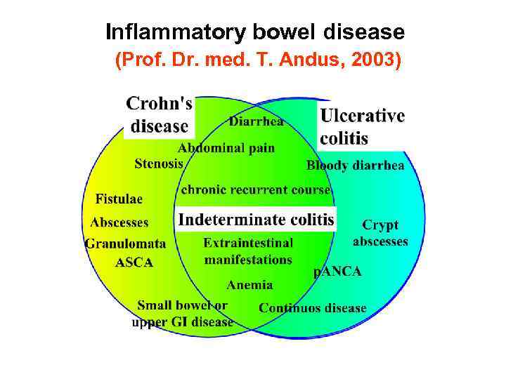 Inflammatory bowel disease (Prof. Dr. med. T. Andus, 2003) 