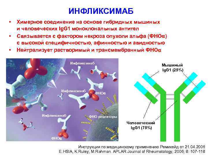 ИНФЛИКСИМАБ • • • Химерное соединение на основе гибридных мышиных и человеческих Ig. G