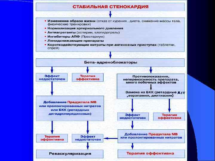 План обследования при ибс стенокардии