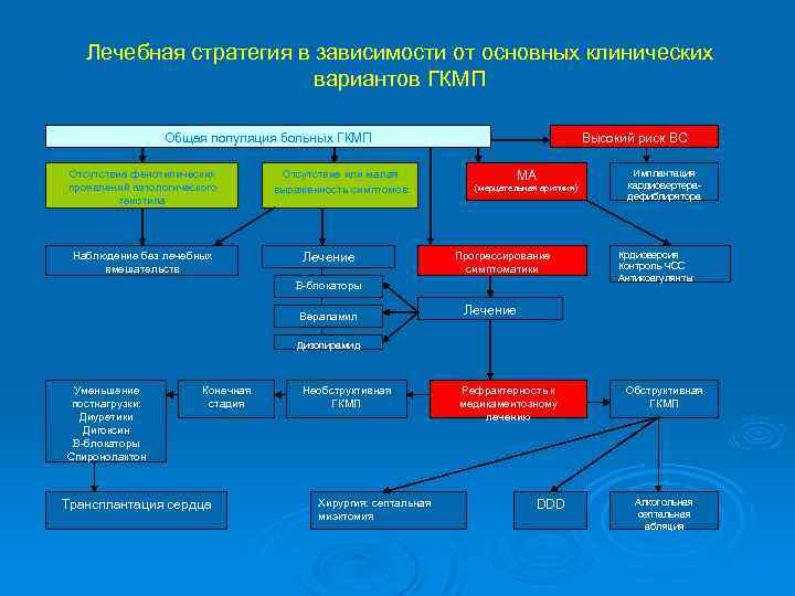 Лечебная стратегия в зависимости от основных клинических вариантов ГКМП Общая популяция больных ГКМП Отсутствие