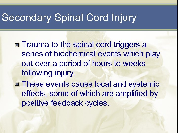 Secondary Spinal Cord Injury Trauma to the spinal cord triggers a series of biochemical