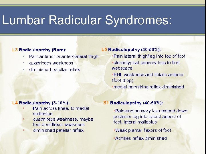 Lumbar Radicular Syndromes: L 5 Radiculopathy (40 -50%): L 3 Radiculopathy (Rare): • Pain