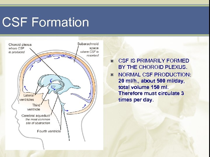 CSF Formation CSF IS PRIMARILY FORMED BY THE CHOROID PLEXUS. NORMAL CSF PRODUCTION: 20
