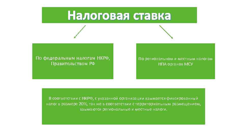 Налоговое право в рф план