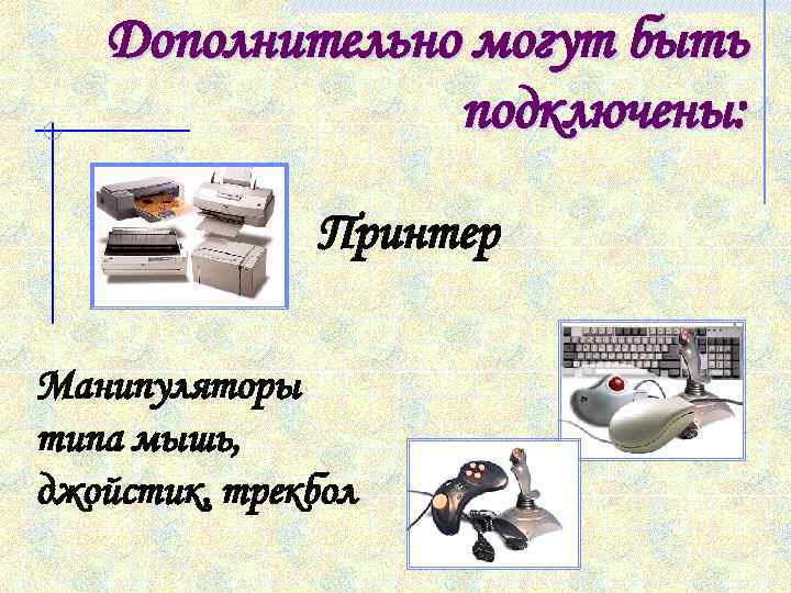 Дополнительно могут быть подключены: Принтер Манипуляторы типа мышь, джойстик, трекбол 