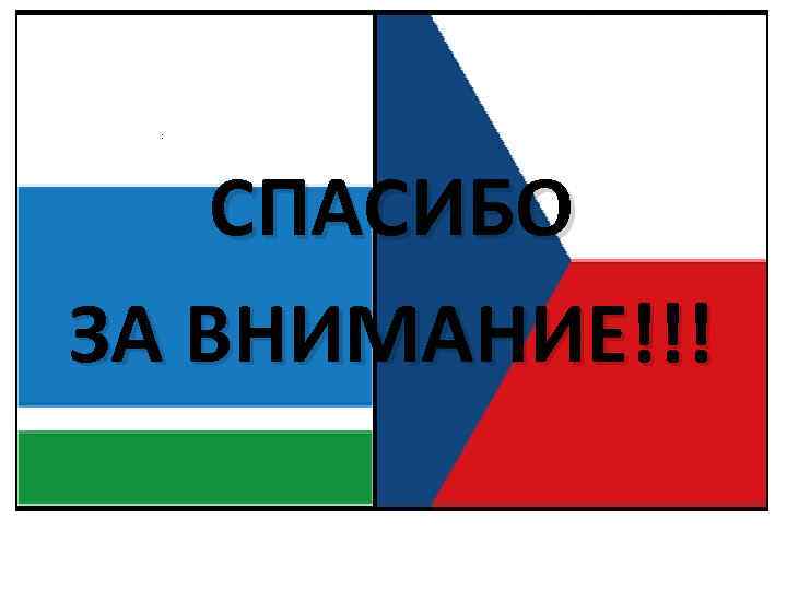 : СПАСИБО ЗА ВНИМАНИЕ!!! 