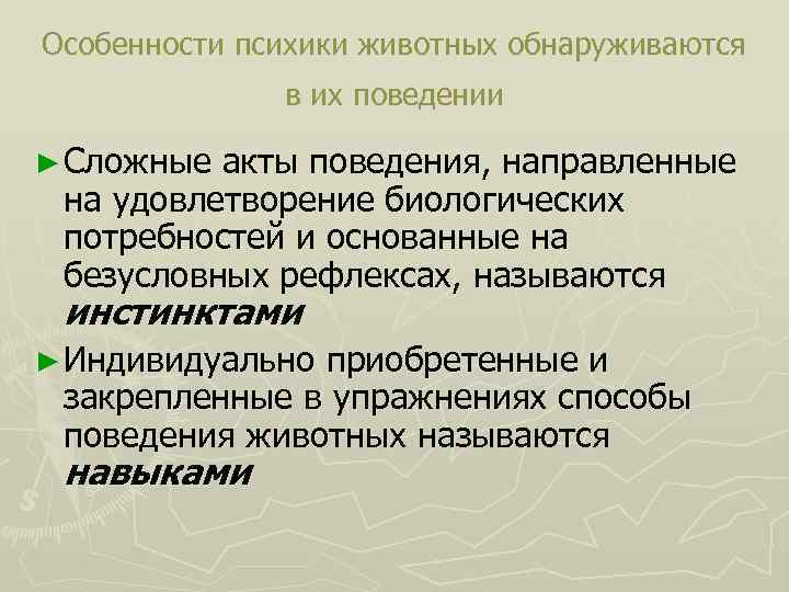 Особенности психики животных обнаруживаются в их поведении ► Сложные акты поведения, направленные на удовлетворение