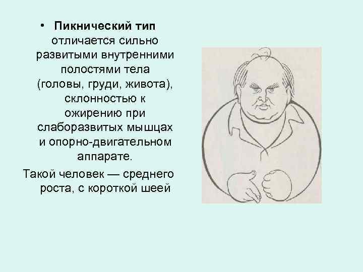  • Пикнический тип отличается сильно развитыми внутренними полостями тела (головы, груди, живота), склонностью