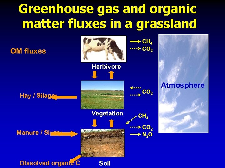 Greenhouse gas and organic matter fluxes in a grassland CH 4 CO 2 OM