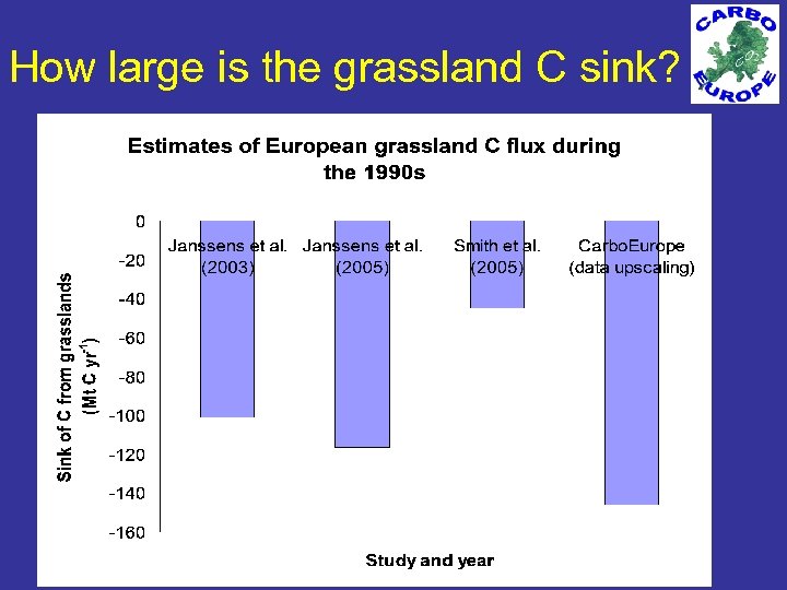 How large is the grassland C sink? 