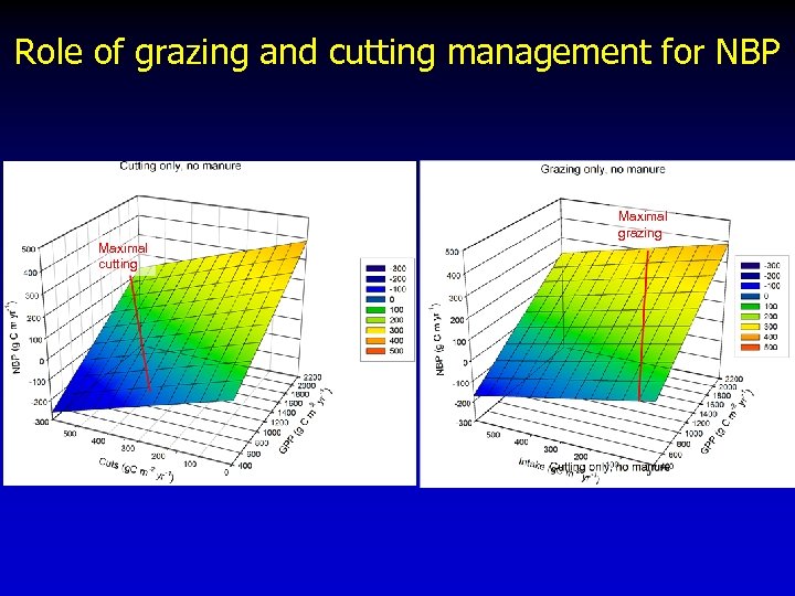 Role of grazing and cutting management for NBP Maximal grazing Maximal cutting 