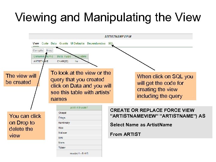 Viewing and Manipulating the View The view will be created You can click on