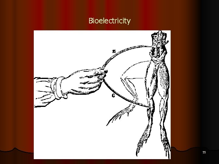 Bioelectricity 55 