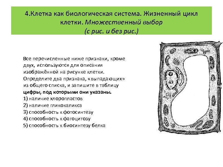 Все перечисленные ниже признаки кроме двух используются для описания изображенной на рисунке