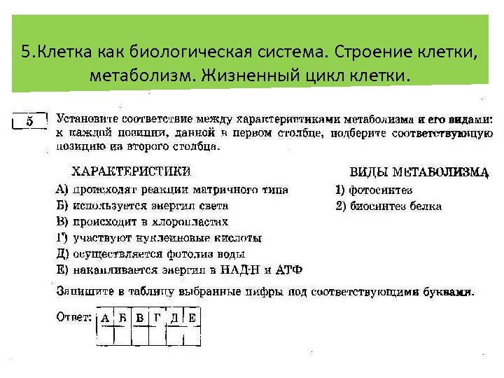 5. Клетка как биологическая система. Строение клетки, метаболизм. Жизненный цикл клетки. Установление соответствия (с