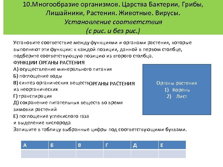 10. Многообразие организмов. Царства Бактерии, Грибы, Лишайники, Растения. Животные. Вирусы. Установление соответствия (с рис.