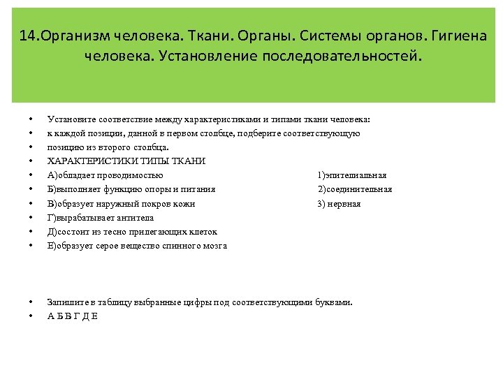 14. Организм человека. Ткани. Органы. Системы органов. Гигиена человека. Установление последовательностей. • • •