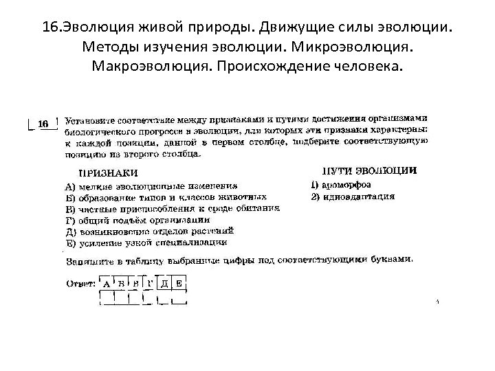 16. Эволюция живой природы. Движущие силы эволюции. Методы изучения эволюции. Микроэволюция. Макроэволюция. Происхождение человека.