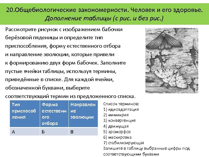 20. Общебиологические закономерности. Человек и его здоровье. Дополнение таблицы (с рис. и без рис.