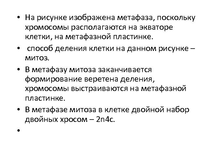  • На рисунке изображена метафаза, поскольку хромосомы располагаются на экваторе клетки, на метафазной
