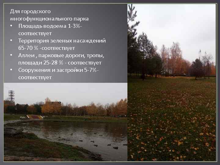 Для городского многофункционального парка • Площадь водоема 1 -3%соотвествует • Территория зеленых насаждений 65