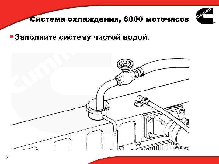 Система охлаждения, 6000 моточасов § Заполните систему чистой водой. 37 