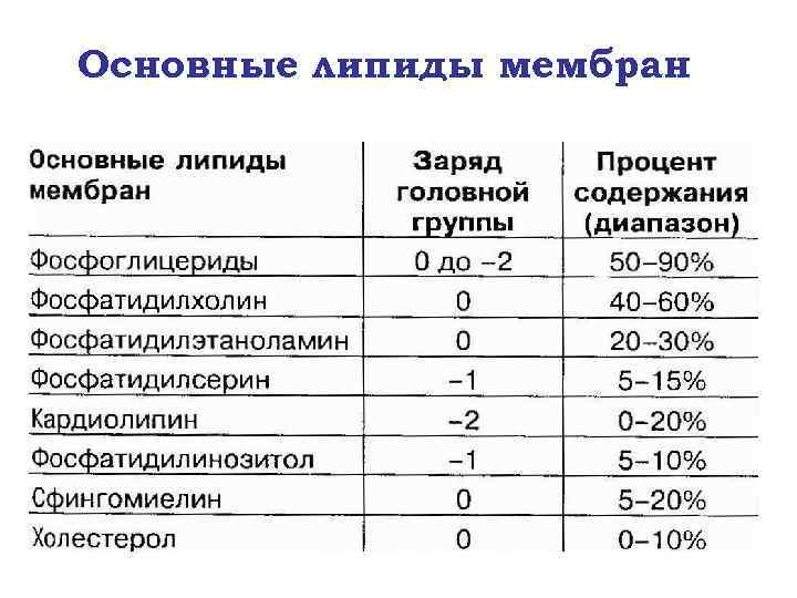 Основные липиды мембран 