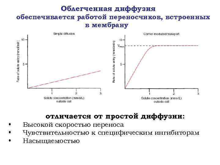 Облегченная диффузия обеспечивается работой переносчиков, встроенных в мембрану отличается от простой диффузии: • •