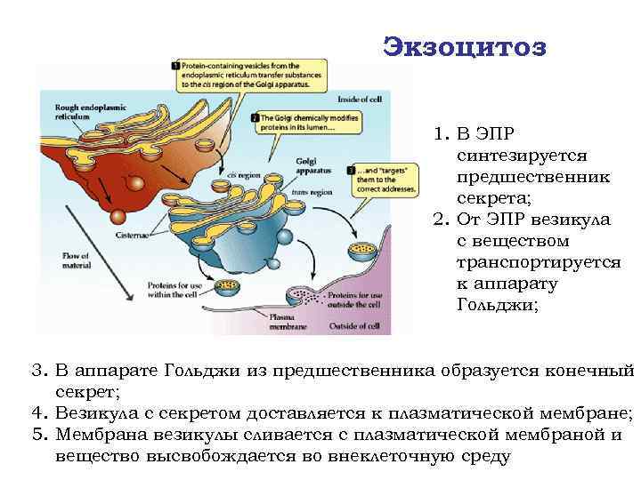 Экзогенные процессы фото