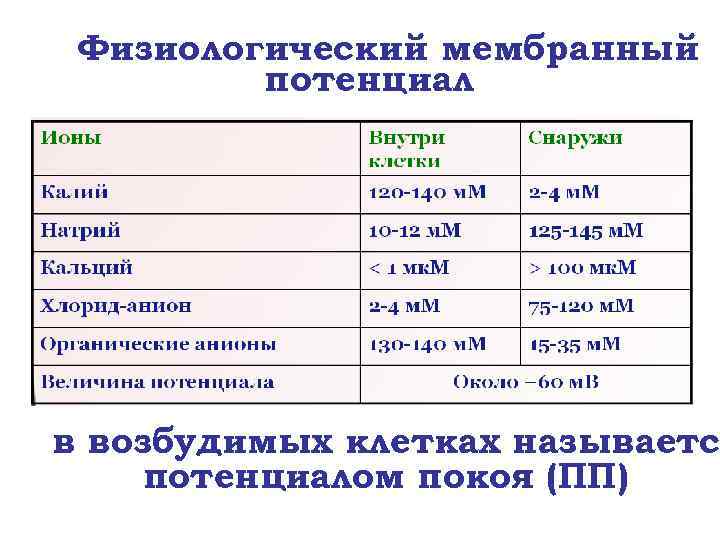 Физиологический мембранный потенциал в возбудимых клетках называетс потенциалом покоя (ПП) 