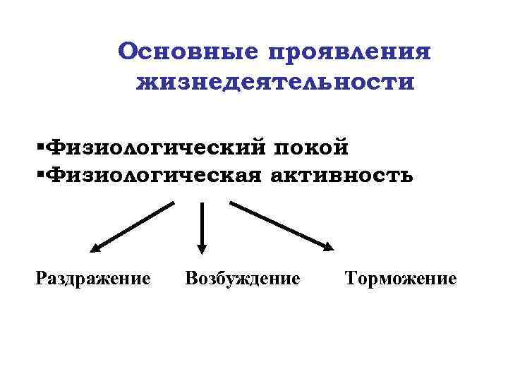 Основные проявления жизнедеятельности §Физиологический покой §Физиологическая активность Раздражение Возбуждение Торможение 