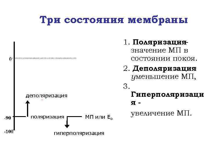 Три состояния мембраны деполяризация МП или Ео гиперполяризация 1. Поляризациязначение МП в состоянии покоя.