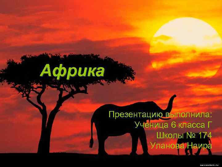 Африка Презентацию выполнила: Ученица 6 класса Г Школы № 174 Уланова Наира 