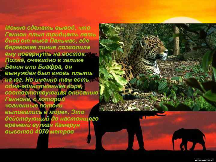 Можно сделать вывод, что Ганнон плыл тридцать пять дней от мыса Пальмас, где береговая