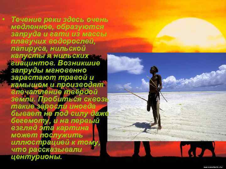  • Течение реки здесь очень медленное, образуются запруда и гати из массы плавучих