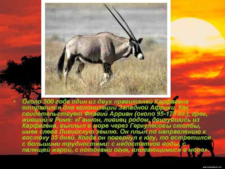  • Около 500 года один из двух правителей Карфагена отправился для колонизации Западной