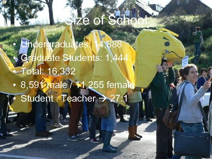 Size of School • • • Undergraduates: 14, 888 Graduate Students: 1, 444 Total: