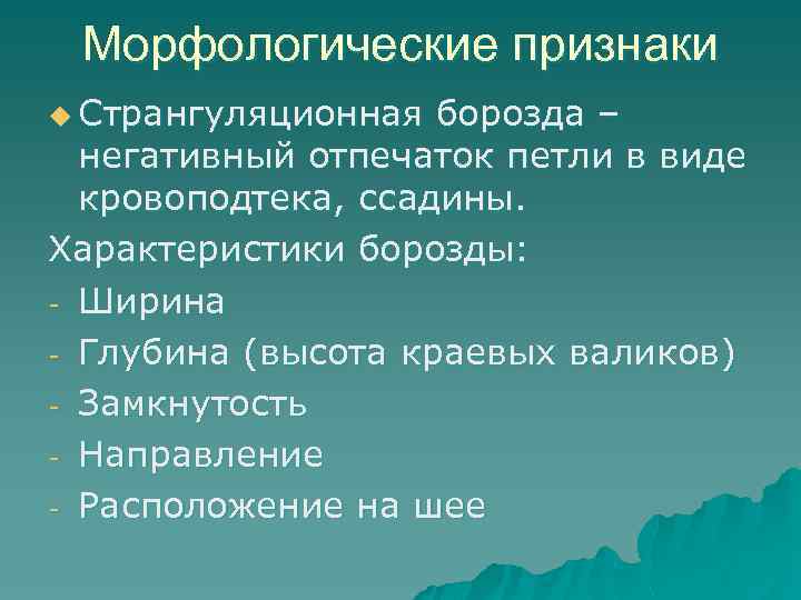 Морфологические признаки u Странгуляционная борозда – негативный отпечаток петли в виде кровоподтека, ссадины. Характеристики