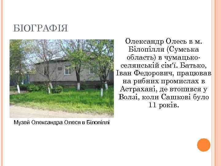 БІОГРАФІЯ Олександр Олесь в м. Білопілля (Сумська область) в чумацькоселянській сім'ї. Батько, Іван Федорович,