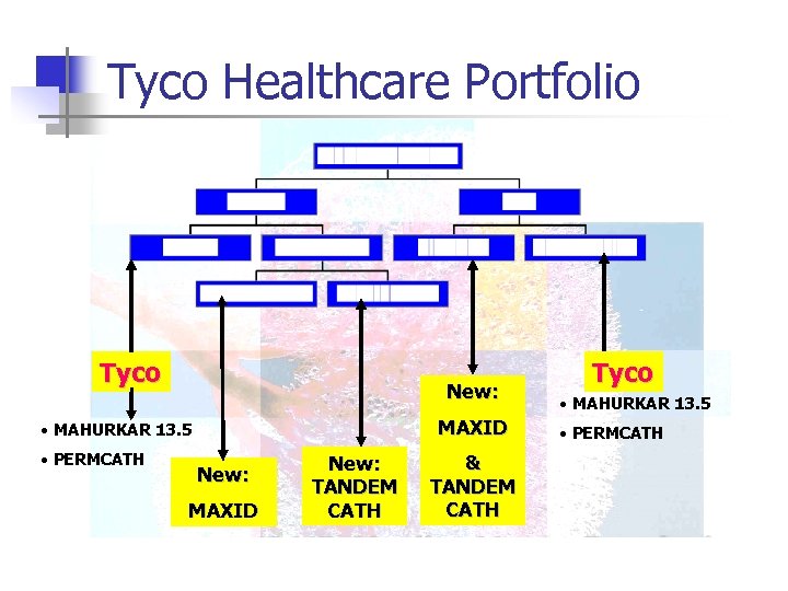 Tyco Healthcare Portfolio Tyco New: MAXID • MAHURKAR 13. 5 • PERMCATH New: MAXID
