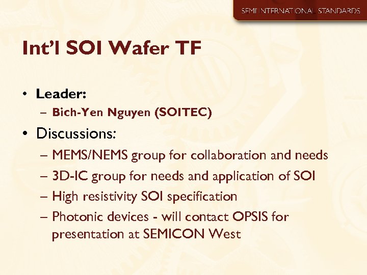 Int’l SOI Wafer TF • Leader: – Bich-Yen Nguyen (SOITEC) • Discussions: – MEMS/NEMS