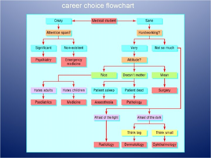 career choice flowchart 
