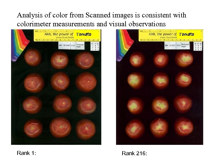 Analysis of color from Scanned images is consistent with colorimeter measurements and visual observations