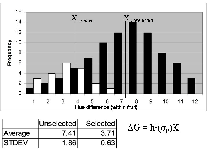  X selected X unselected Hue difference (within fruit) ΔG = h 2(σP)K 