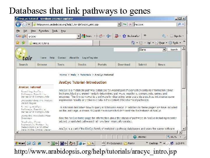 Databases that link pathways to genes http: //www. arabidopsis. org/help/tutorials/aracyc_intro. jsp 