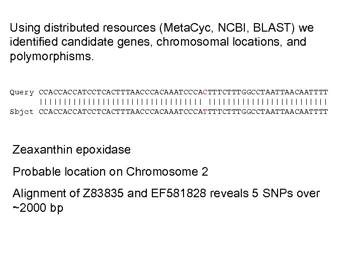 Using distributed resources (Meta. Cyc, NCBI, BLAST) we identified candidate genes, chromosomal locations, and