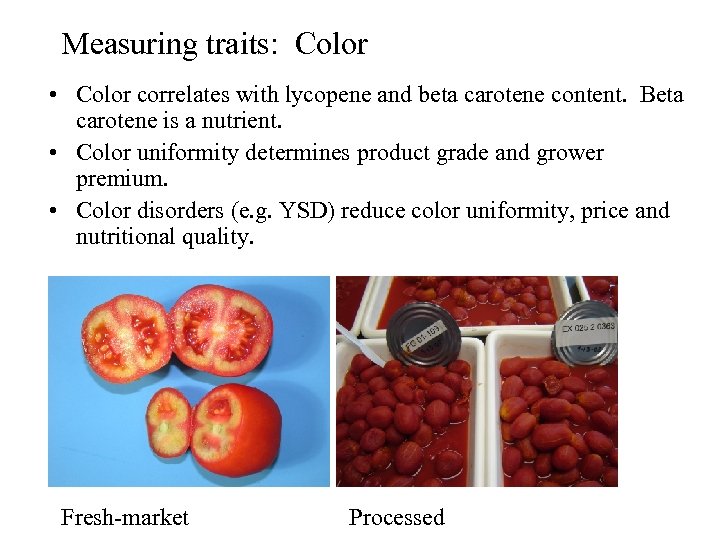 Measuring traits: Color • Color correlates with lycopene and beta carotene content. Beta carotene