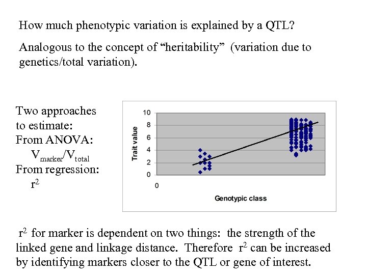How much phenotypic variation is explained by a QTL? Analogous to the concept of