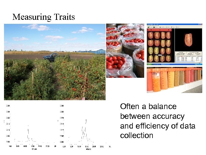 Measuring Traits Often a balance between accuracy and efficiency of data collection 